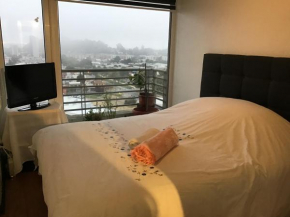 Departamento cómodo y céntrico Concepción